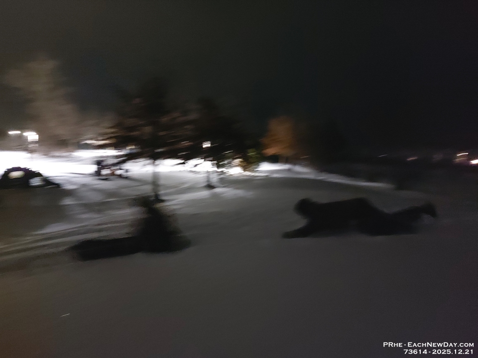 73614 - Toboggan party in Clayt French Park